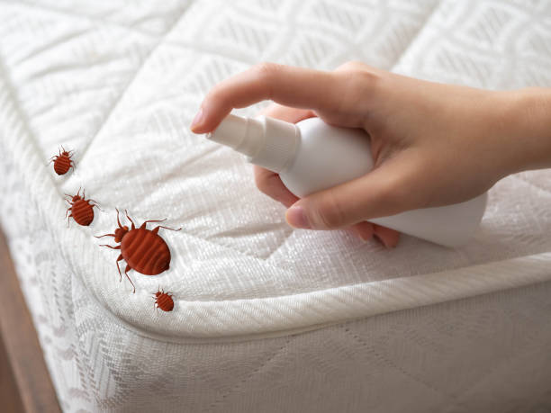 Best Pest Prevention Services  in Cambridge, IL